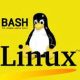 Linux Administration: The Complete Linux Bootcamp for 2022 Coupon