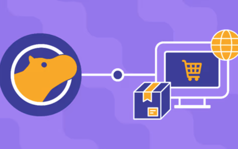 Seamless Shipping with the Shippo API in Python Coupon – Educative.io